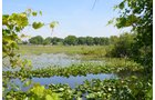 Property photo 86 - 2 Acres of Prime Lakefront Real Estate Auction with Home, Peninsula and Private Island
